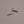 Load image into Gallery viewer, Snake Brand Large Loop Tip Tops