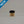 Load image into Gallery viewer, Fighting butt with rubber (short)